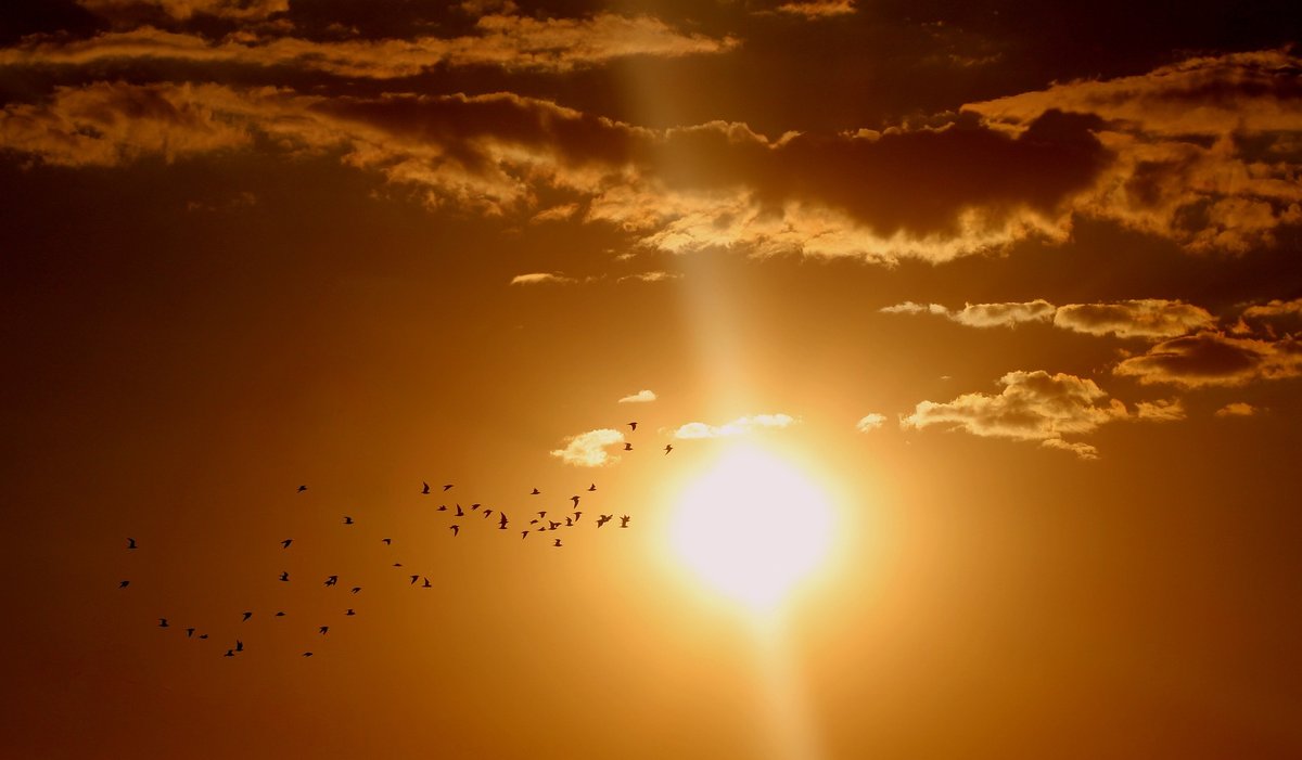 Hrvatsku čeka izazovan tjedan: Temperature idu i iznad 30 stupnjeva, evo kad stiže promjena