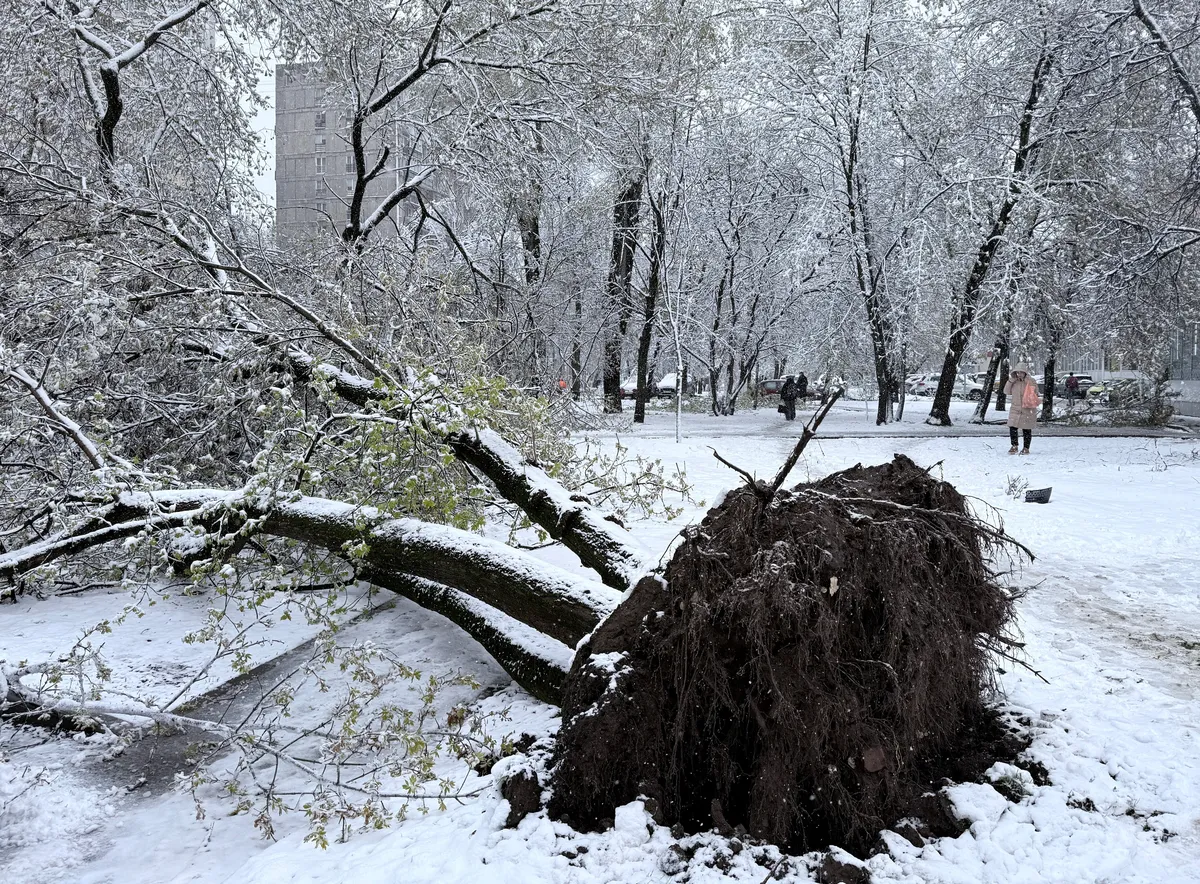 VIDEO / Usred proljeća zatrpao ih snijeg: Otkazani  deseci letova, stabla oštetila automobile