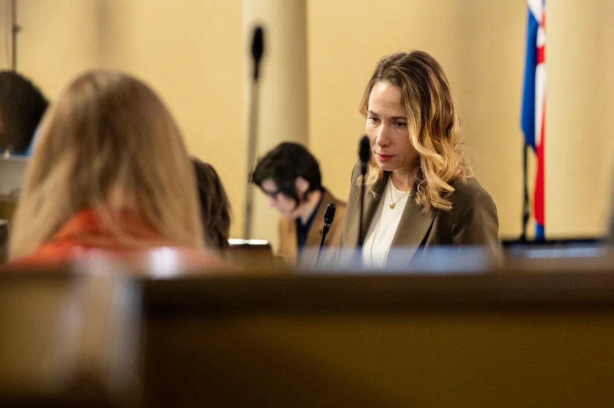 Selak Raspudić napala Tomaševića zbog izložbe o Medakoviću: "Ne želite valjda reći da vam portal Novosti smještaju?"