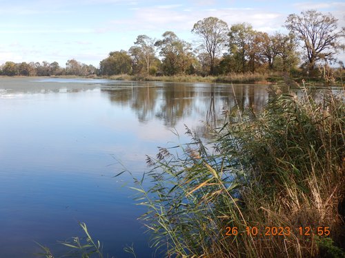 Foto2 Šaranski ribnjak