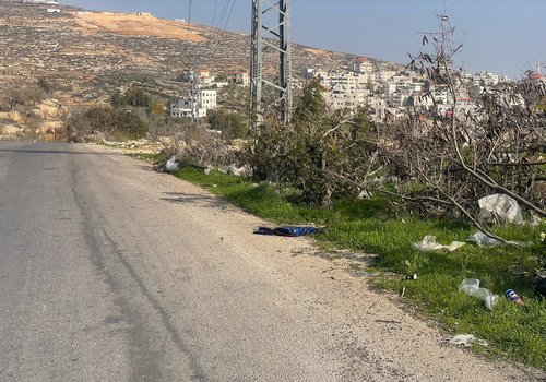 A prayer mat lies on the ground near the scene where an Israeli reservist rammed his vehicle into Palestinian Majdi Abu Mukho as he was praying, near Deir Jareer in the Israeli-occupied West Bank,