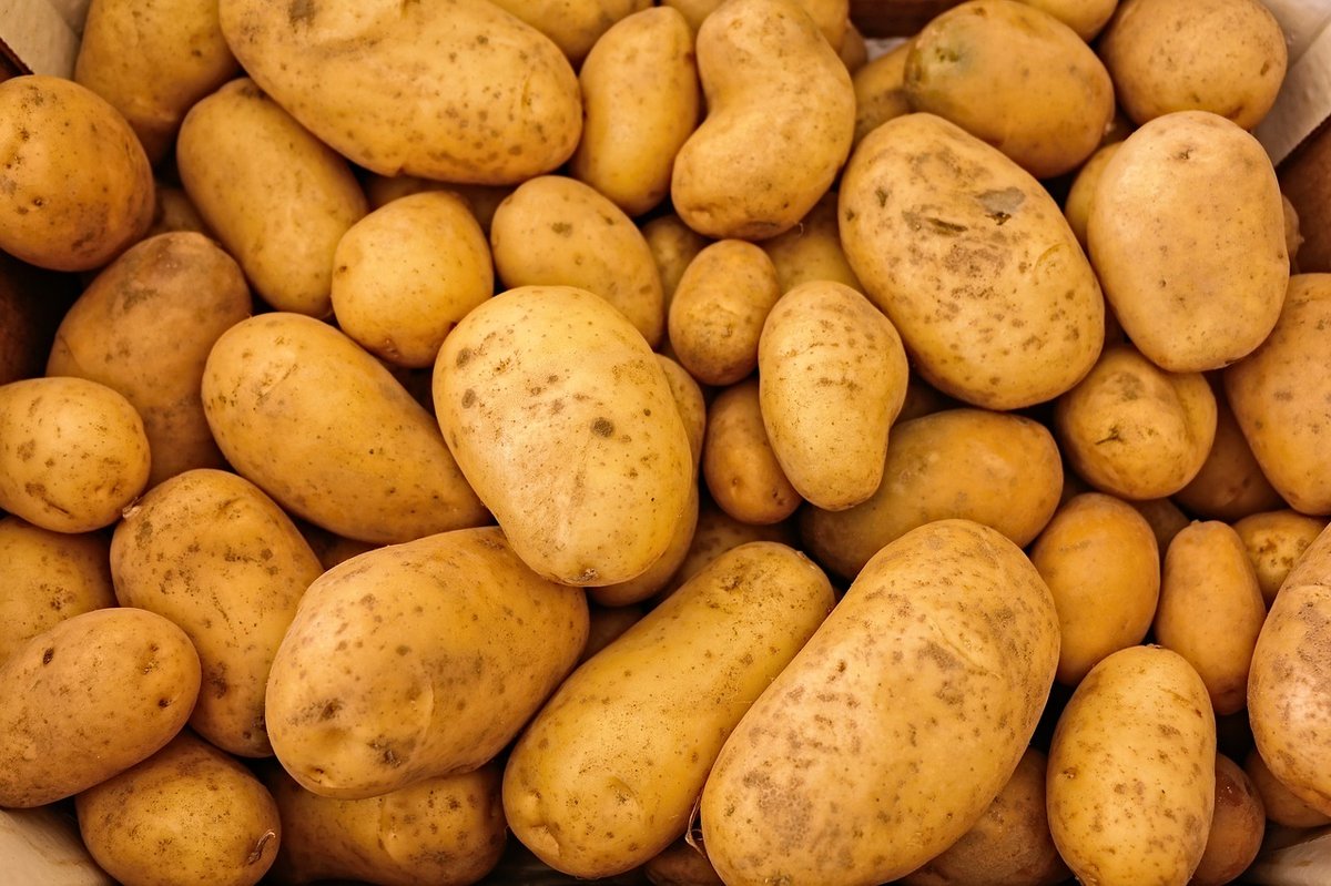 HSS u subotu dijeli 500 kilograma ličkog krumpira u centru Zagreba