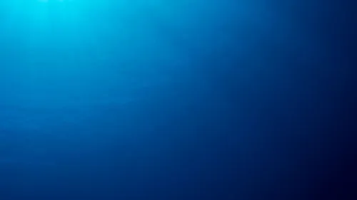 Institut Ruđer Bošković