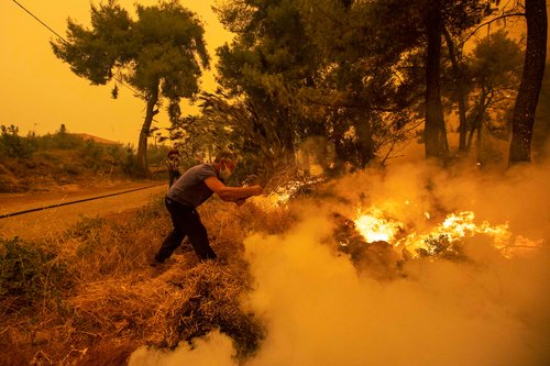 Wildfire erupts on Evia island