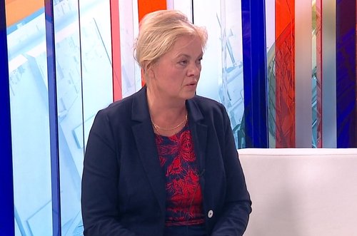 branka bakšić mitić