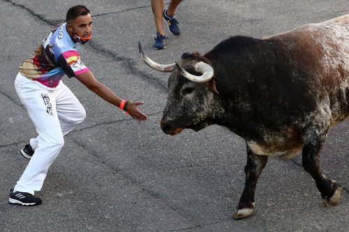 A reveller calls a steer during a running-of-the-bull festival in Villaseca de la Sagra