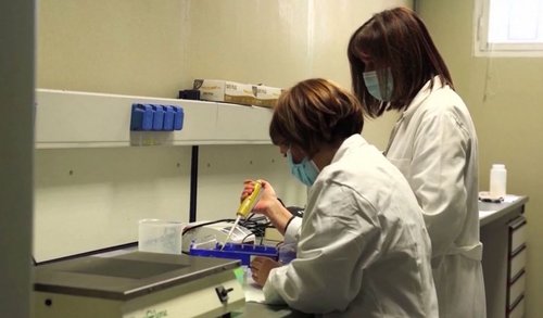 korona, laboratorij, istraživanje, testiranje