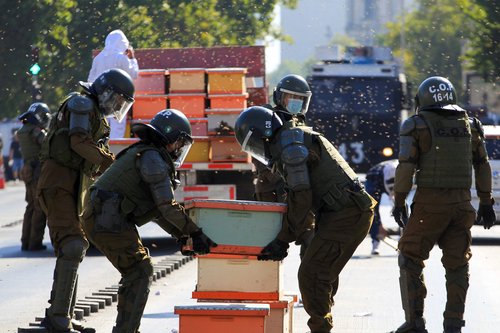 Beekeepers take part in a protest with honeycombs full of bees in front of the Chilean presidential palace in Santiago