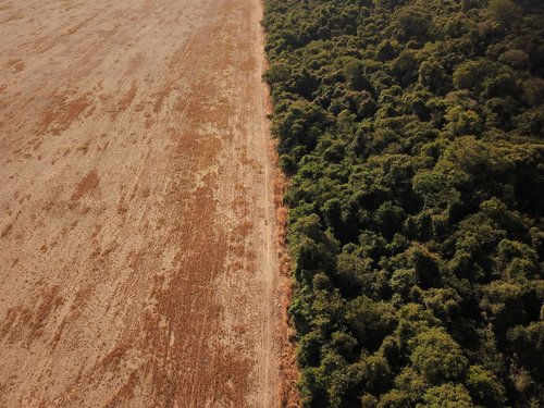 FILE PHOTO: Scientists from the State University of Mato Grosso identify signs of climate change on the border between Amazonia and Cerrado