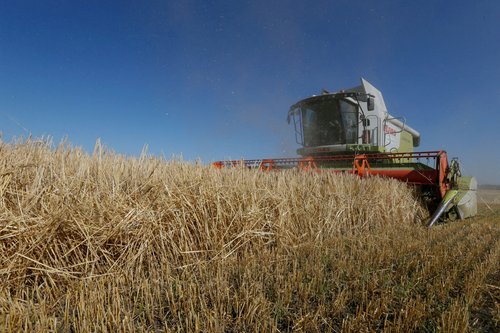 FILE PHOTO: Combine harvests barley in field in Kiev region