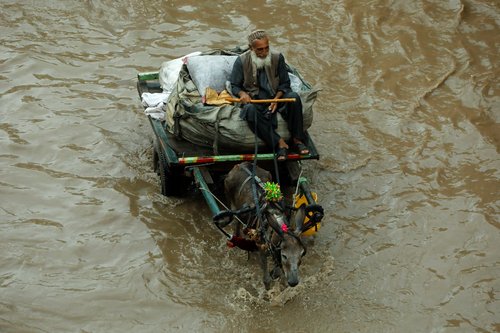A man rides a donkey cart amid a flooded street, while transporting recyclables, during monsoon season in Peshawar