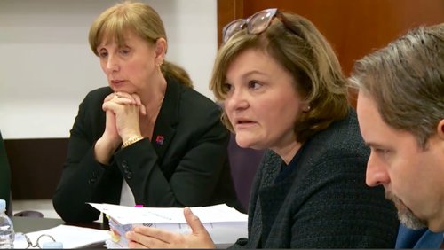 aleksandar jozić ileković