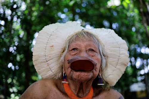 Brazil to host summit of Amazon rainforest nations