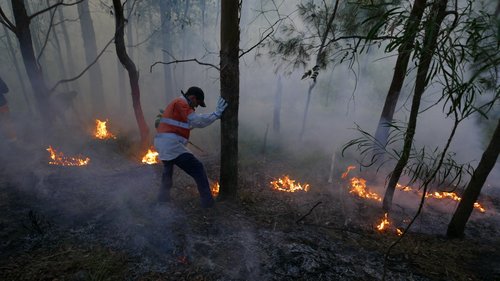 požar australija