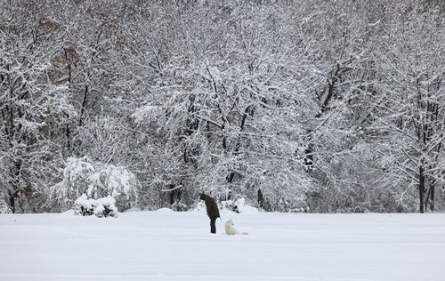 sofia, snijeg, bugarska