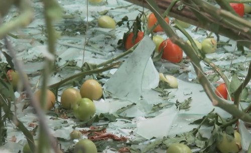 bošnjaci, županja, nevrijeme, oluja