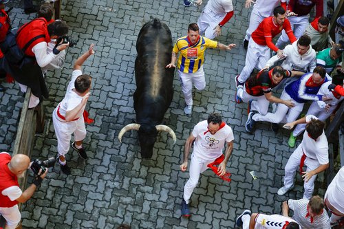 utrka s bikovima, bikovi, Pamplona