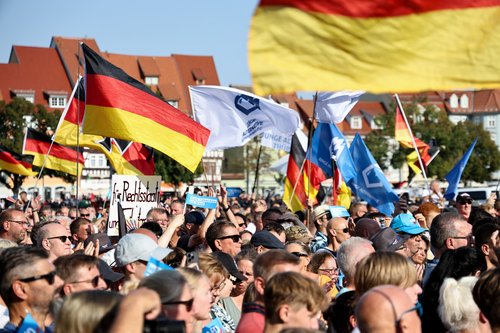 AfD izbori u Njemačkoj