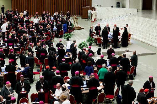 vatikan, sinoda, papa franjo