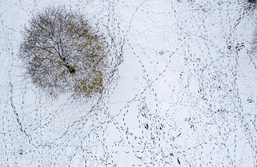 A drone view shows footprints in a snow covered field in the Pavilion Gardens in Buxton, Britain