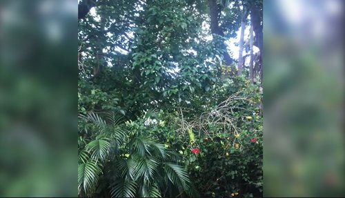 1751977276_high-res-image_24