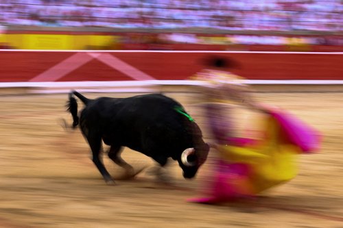 utrka s bikovima- REUTERS 13.7.2025.