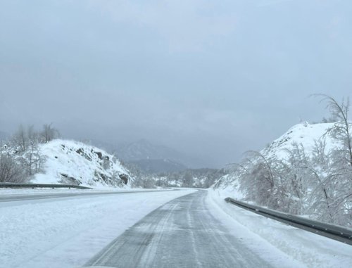 WhatsApp Image 2026-01-06 at 12.38.41.jpG