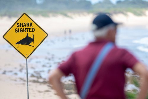 Warning signs are in place, and beaches are closed after a surfer suffered a shark attack today at Dee Why Beach in Sydney, Australia, January 19, 2026. REUTERS/Jeremy Piper