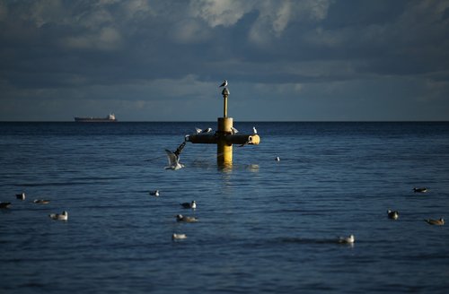 A navigation buoy floats in the sea as seagulls circle around it at the Gdansk Bay, part of the Baltic Sea, on a sunny winter day in Gdynia, Poland, December 29, 2025. REUTERS/Kacper Pempel