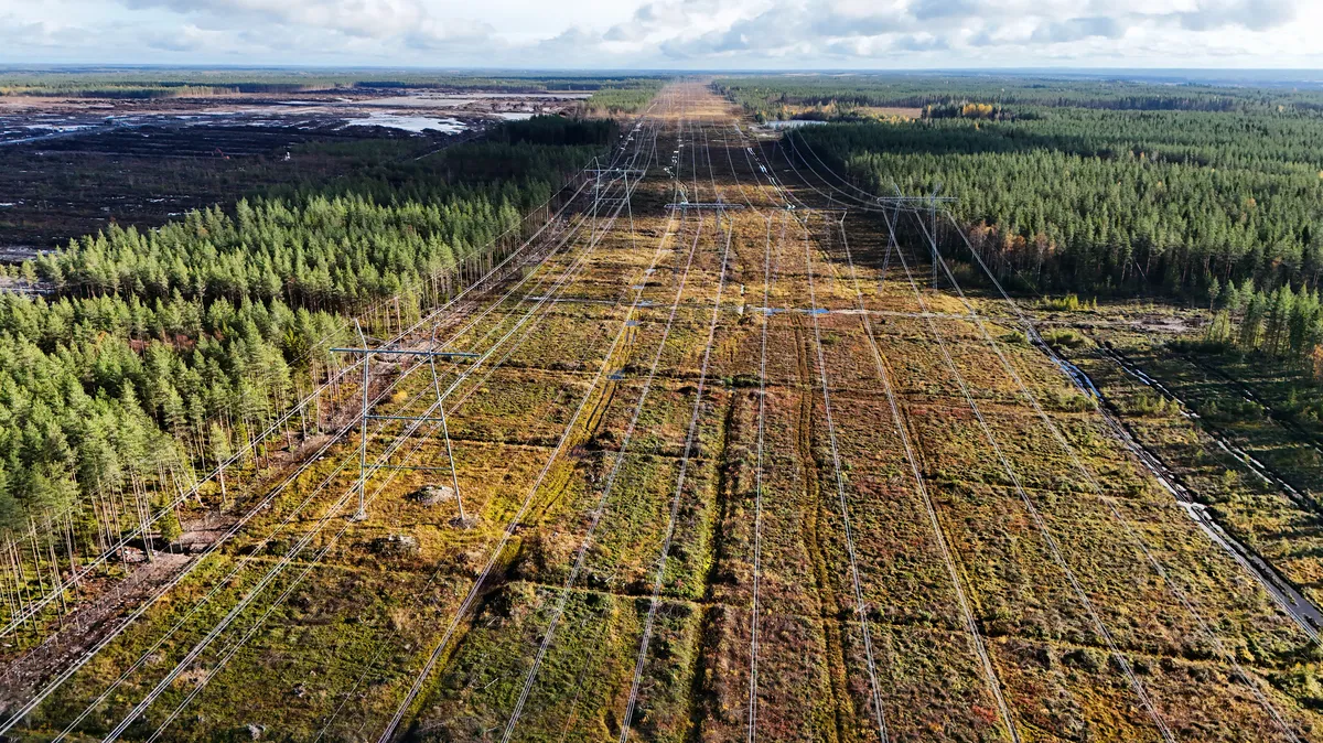 FOTO, VIDEO / Skandal u Finskoj, Google nezakonito posjekao 250.000 stabala: "Čista arogancija"