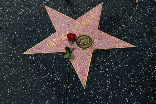 A flower lies on The Hollywood Walk of Fame star of the late actor Patrick Stewart in Los Angeles, California, US, October 29, 2026. REUTERS/Evelyn Hockstein TPX IMAGES OF THE DAY