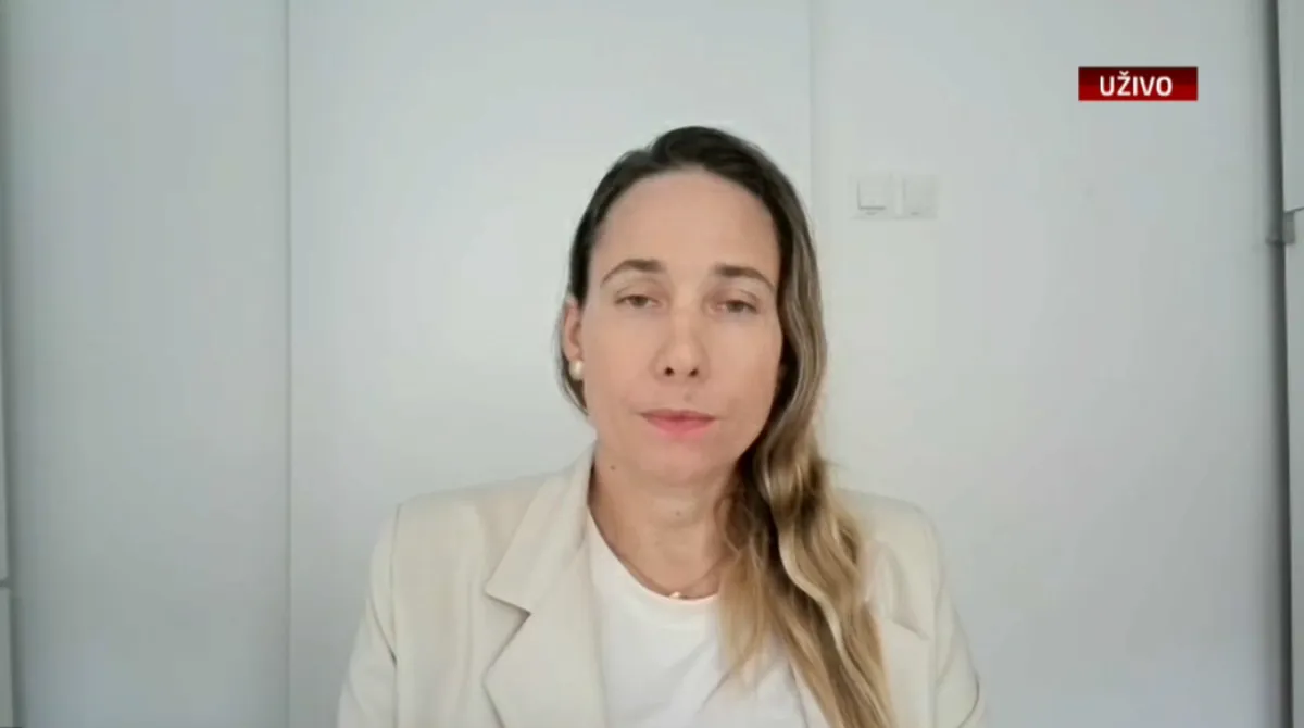 Selak Raspudić za N1: "Ili SOA nije odradila svoj posao ili netko laže"