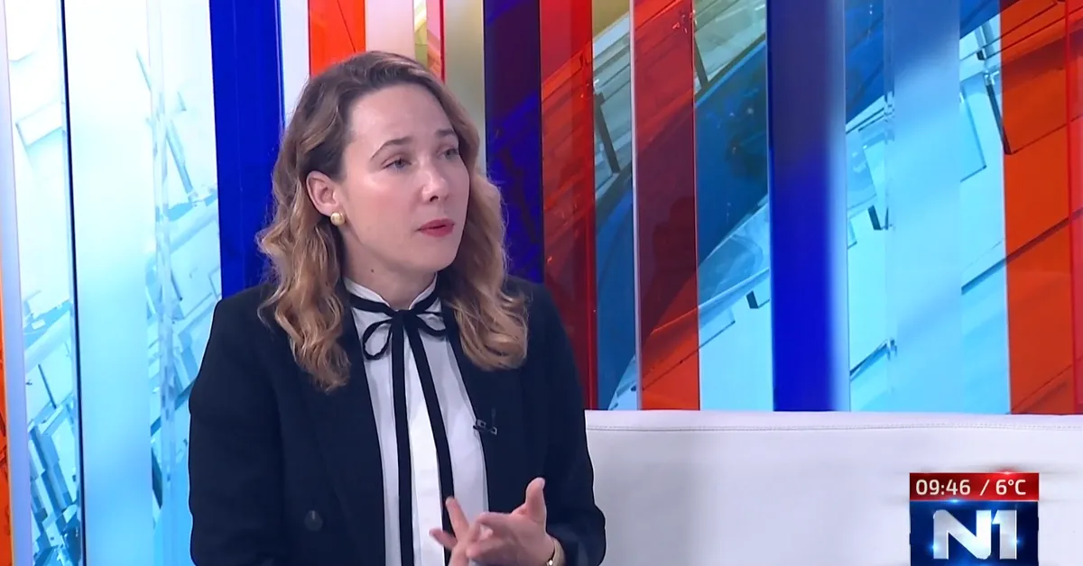 Selak Raspudić: Možemo ili radi za Plenkovića ili su idioti u političkom smislu