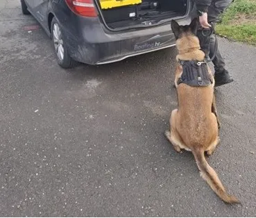 Policijski pas Rea u Mercedesu otkrio 5,7 kg  kokaina