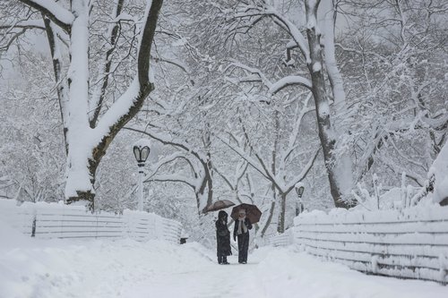 People walk at Central Park as snow falls during a winter storm in New York City, U.S., February 23, 2026. REUTERS/Jeenah Moon