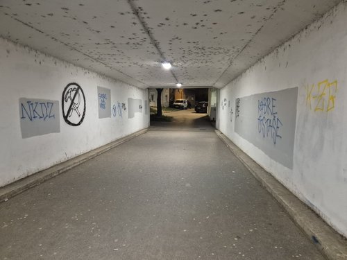 Pothodnik u Savskom gaju