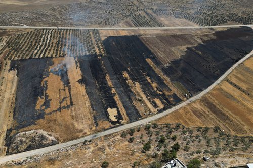 zapadna obala, palestina, REUTERS 29.5.2025.