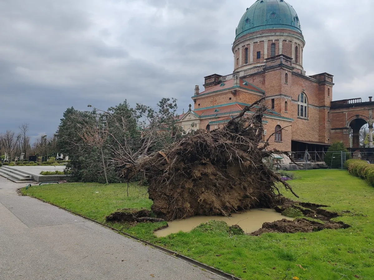 FOTO, VIDEO / Potresni prizori s Mirogoja, vjetar počupao stabla, popadala su po grobovima