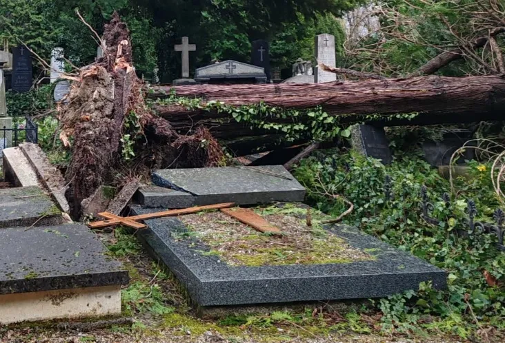 Grobovi na Mirogoju nisu osigurani, pa ZG Holding neće isplaćivati odštetu