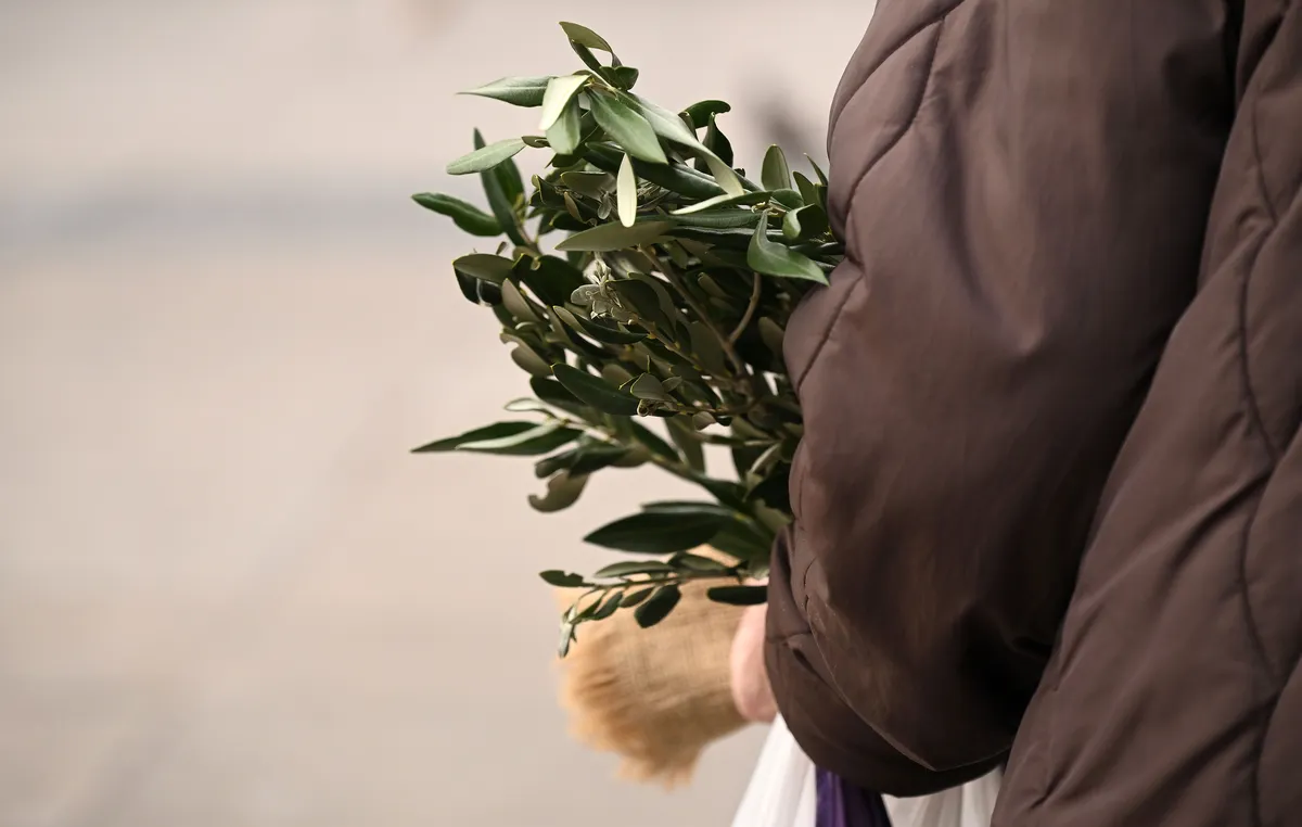 Katolici obilježavaju Cvjetnicu - spomen na ulazak Isusa u Jeruzalem