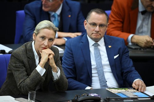 Alice Weidel, Tino Chrupalla, AfD