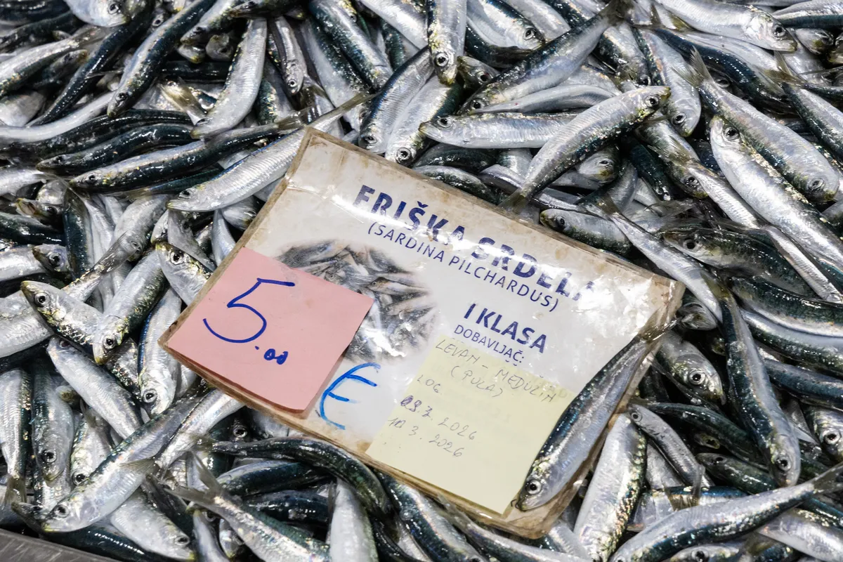 Cijene ribe uoči Velikog petka: 