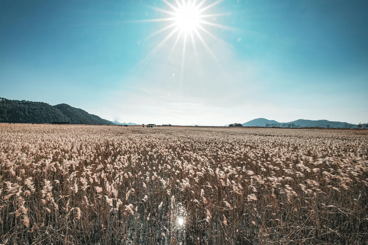 Upozorenje UN-a: Ekstremne vrućine dovele su prehrambene sustave 