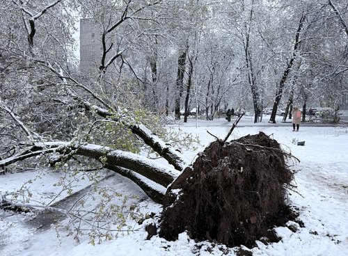 2026-04-27T080940Z_85616560_RC2IXKAOGQ3C_RTRMADP_3_EUROPE-WEATHER-MOSCOW-SNOW