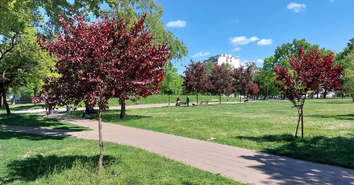 Pokušaj ubojstva maloljetnika oštrim predmetom u Zagrebu, teško je ozlijeđen