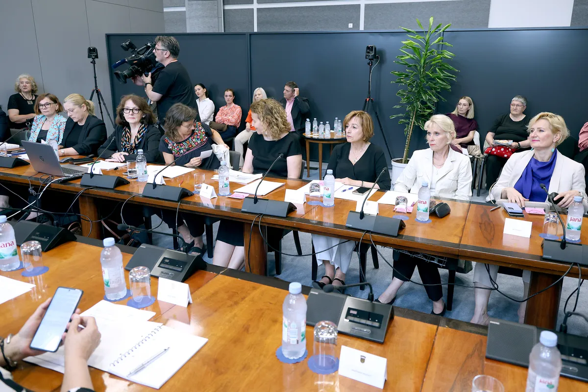 Feminističke udruge kritizirale sustav: Žene i dal