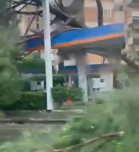 VIDEO / Snažan tornado pogodio Rim: Vjetar čupao stabla, krovove...