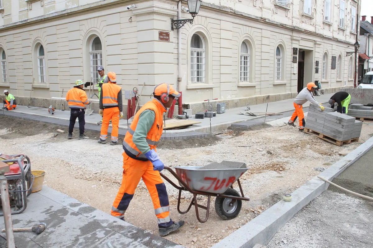Stabla lipe posvađala vlast i oporbu u Karlovcu: "