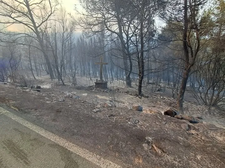 Vatrogascima u najtežim trenucima pomogla kiša: Požar na Korčuli stavljen pod kontrolu