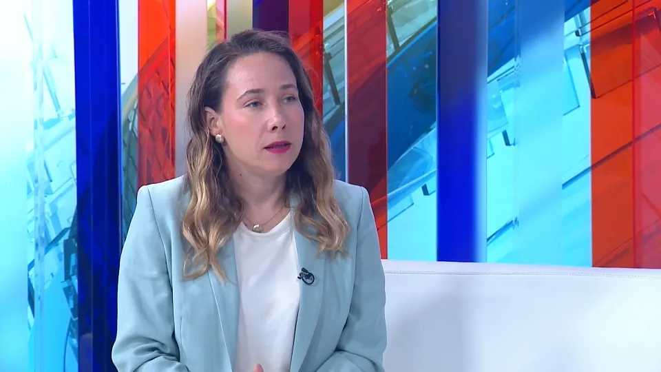 Selak Raspudić: Sve dok Milanović nastupa kao alternativa Plenkoviću, ne možemo imati pravu alternativu